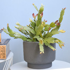 Arranjo De Flor De Maio Toque Real No Vaso Cumbuca Cinza | Fo